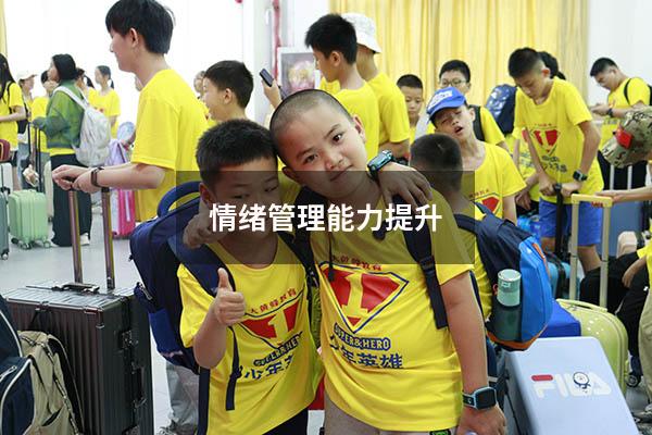 情绪管理能力提升