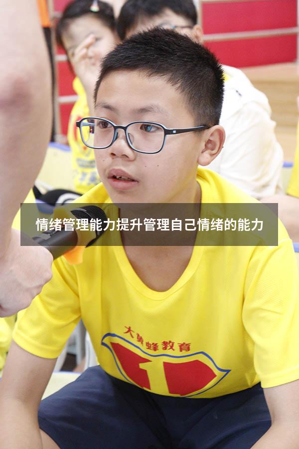 情绪管理能力提升（管理自己情绪的能力）