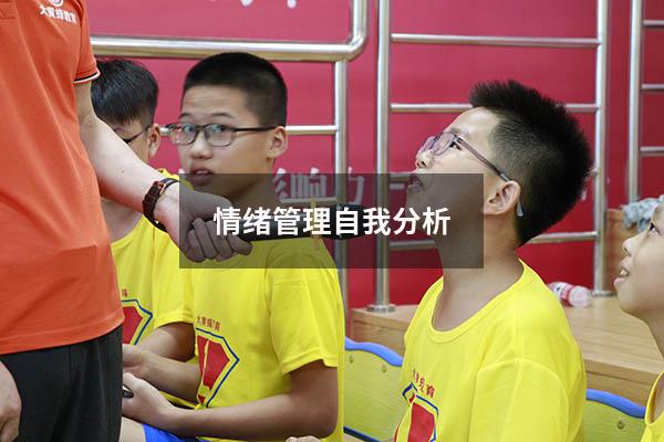 情绪管理自我分析1000