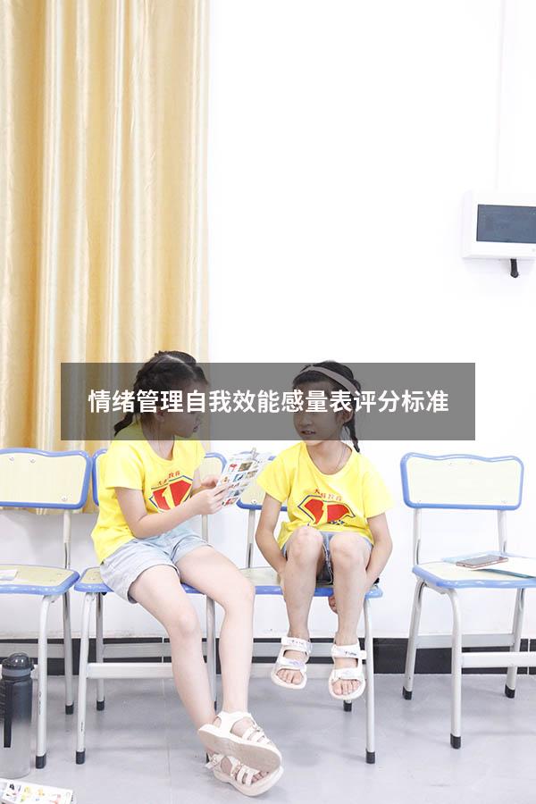 情绪管理自我效能感量表评分标准
