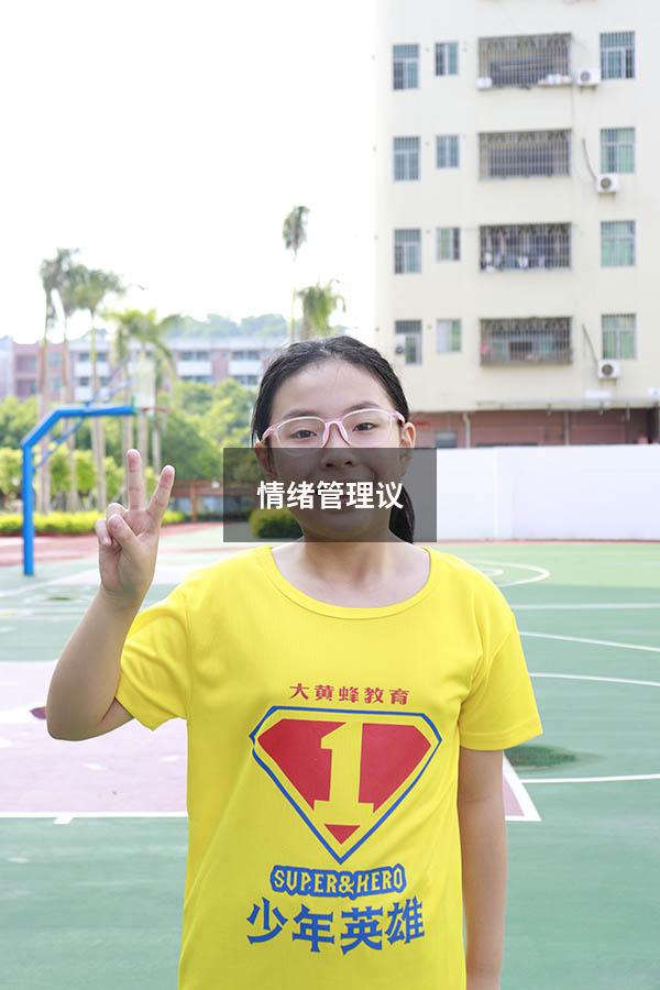 情绪管理议