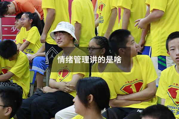 情绪管理讲的是啥
