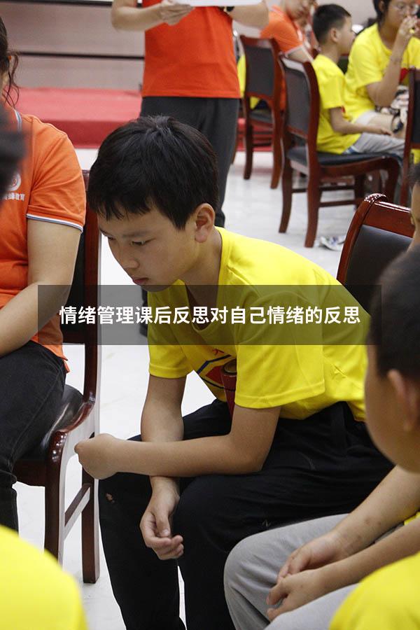 情绪管理课后反思（对自己情绪的反思）