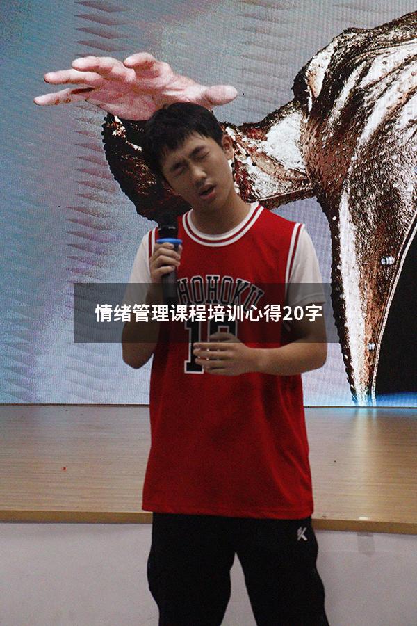 情绪管理课程培训心得20字