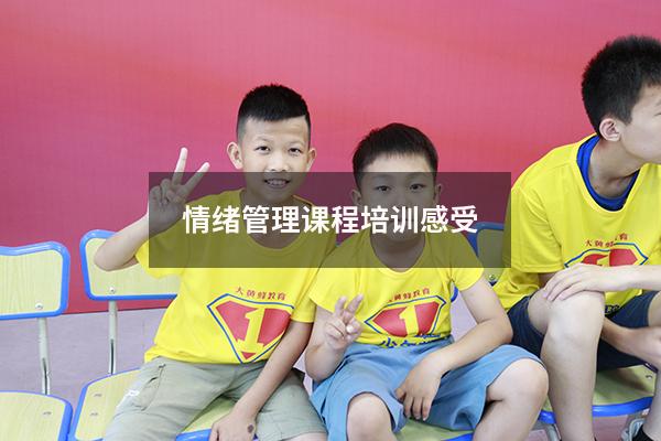 情绪管理课程培训感受