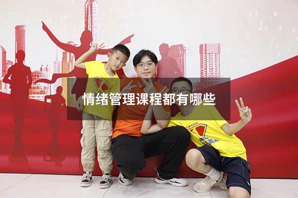 情绪管理课程都有哪些