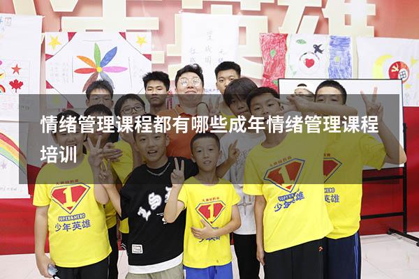 情绪管理课程都有哪些（成年情绪管理课程培训）