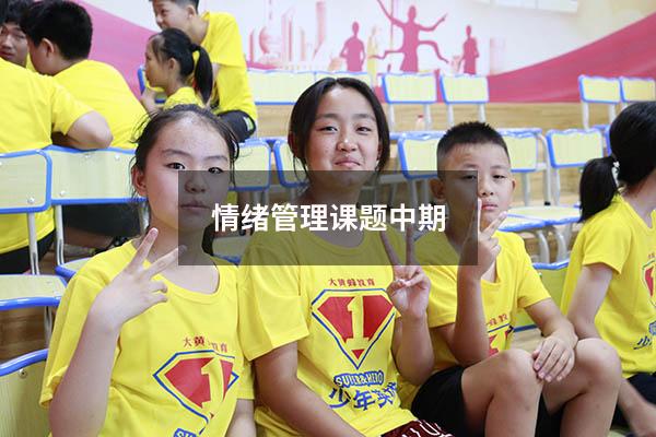 情绪管理课题中期