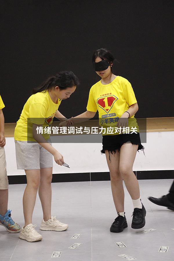 情绪管理调试与压力应对相关