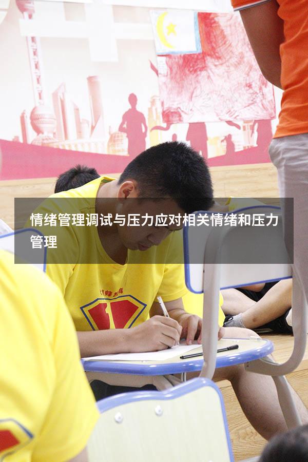 情绪管理调试与压力应对相关（情绪和压力管理）