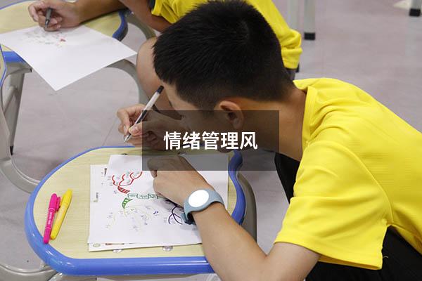 情绪管理风