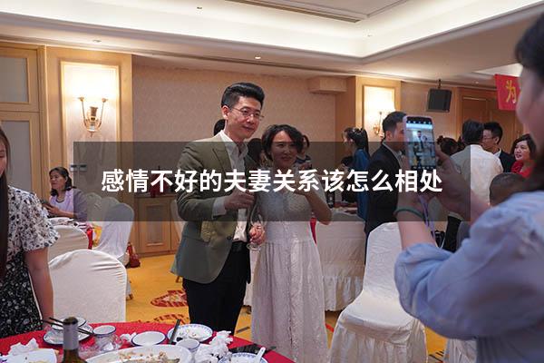 感情不好的夫妻关系该怎么相处
