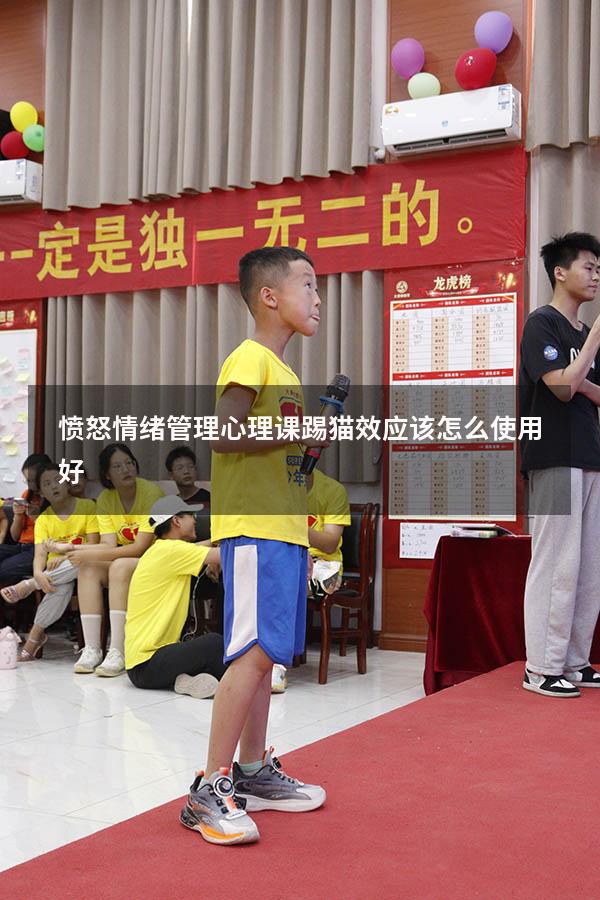愤怒情绪管理心理课踢猫效应该怎么使用好