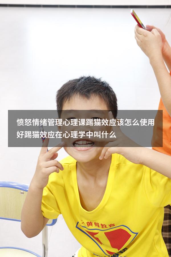 愤怒情绪管理心理课踢猫效应该怎么使用好（踢猫效应在心理学中叫什么）