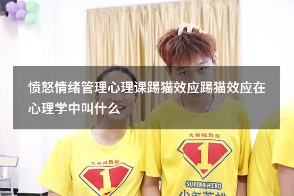 愤怒情绪管理心理课踢猫效应（踢猫效应在心理学中叫什么）