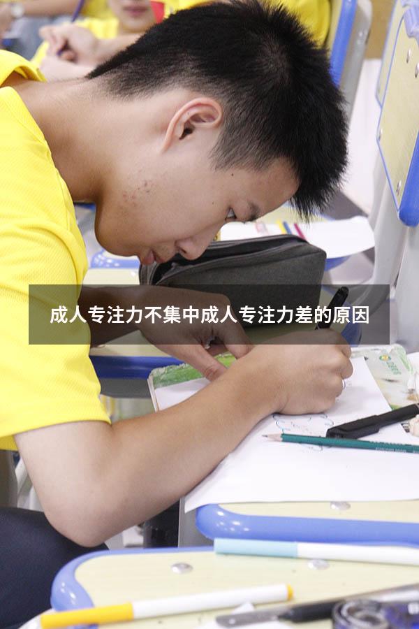 成人专注力不集中（成人专注力差的原因）