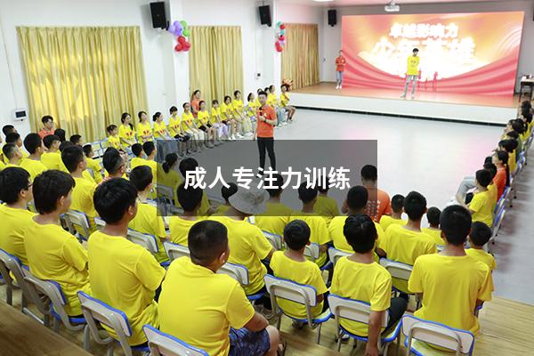 成人专注力训练