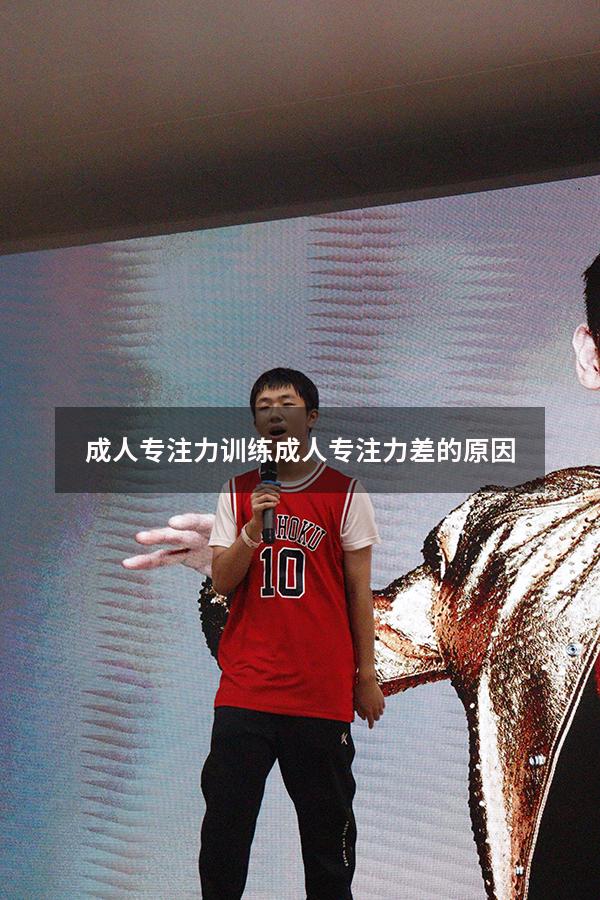 成人专注力训练（成人专注力差的原因）