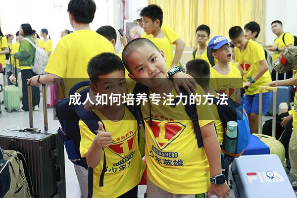 成人如何培养专注力的方法