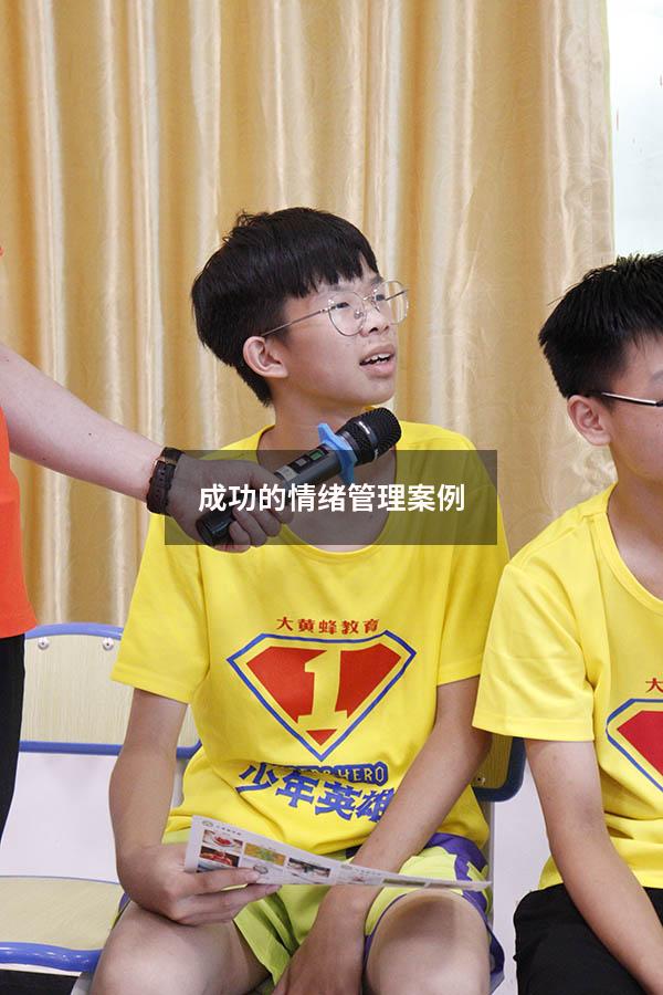 成功的情绪管理案例