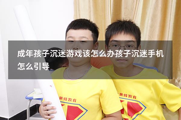 成年孩子沉迷游戏该怎么办（孩子沉迷手机怎么引导）