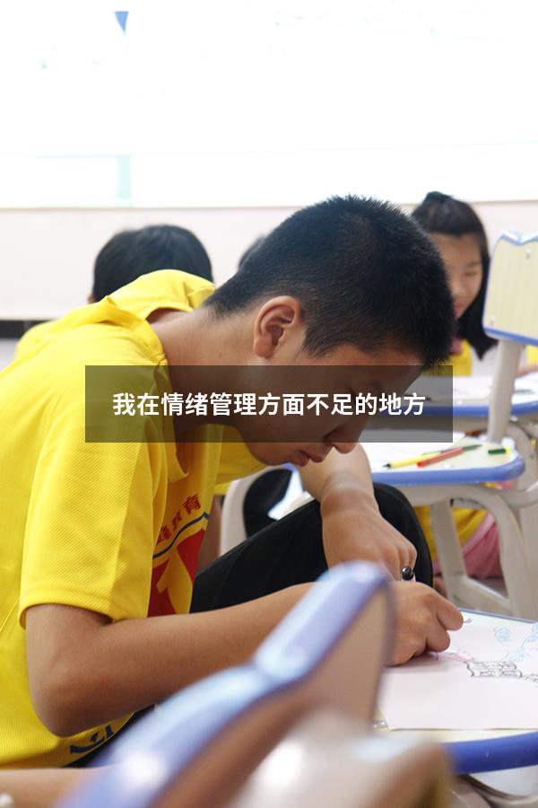 我在情绪管理方面不足的地方