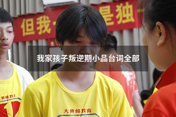 我家孩子叛逆期小品台词全部