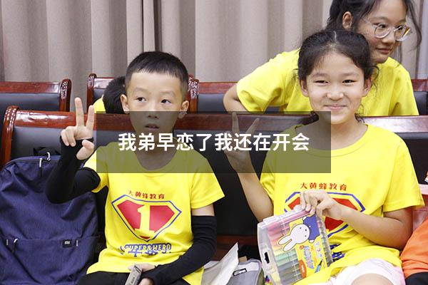 我弟早恋了我还在开会