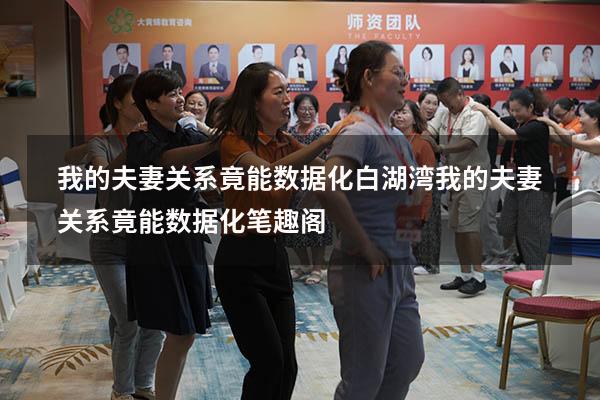 我的夫妻关系竟能数据化白湖湾（我的夫妻关系竟能数据化笔趣阁）