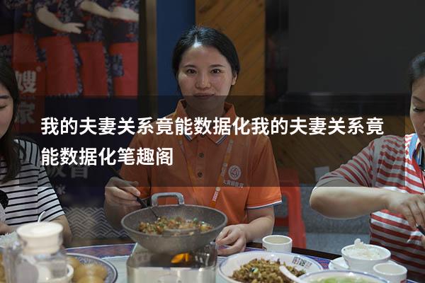 我的夫妻关系竟能数据化（我的夫妻关系竟能数据化笔趣阁）