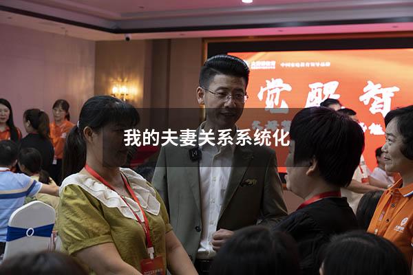 我的夫妻关系系统化