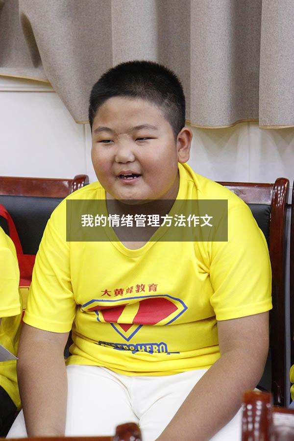 我的情绪管理方法作文