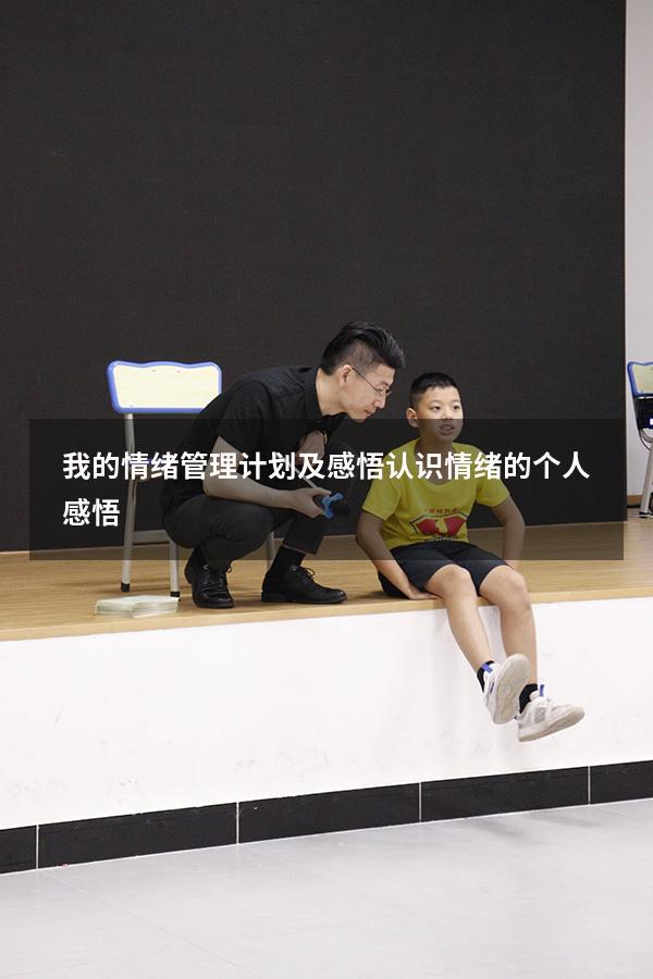 我的情绪管理计划及感悟（认识情绪的个人感悟）