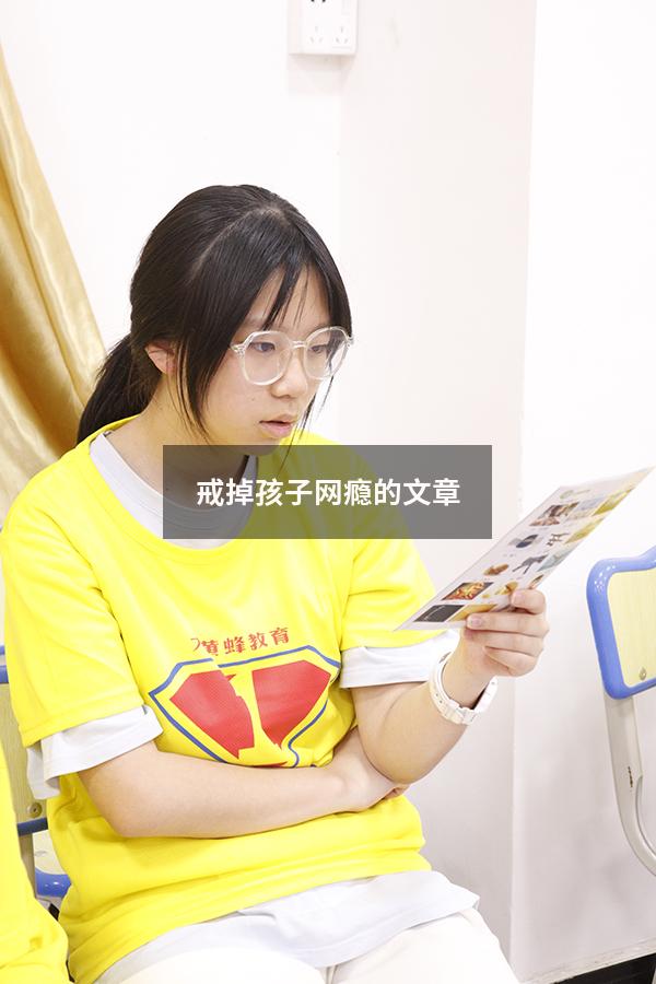 戒掉孩子网瘾的文章