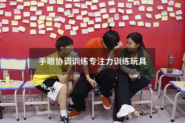 手眼协调训练专注力训练玩具