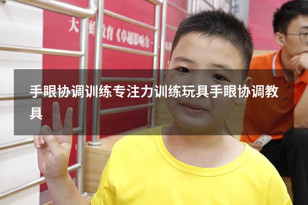 手眼协调训练专注力训练玩具（手眼协调教具）