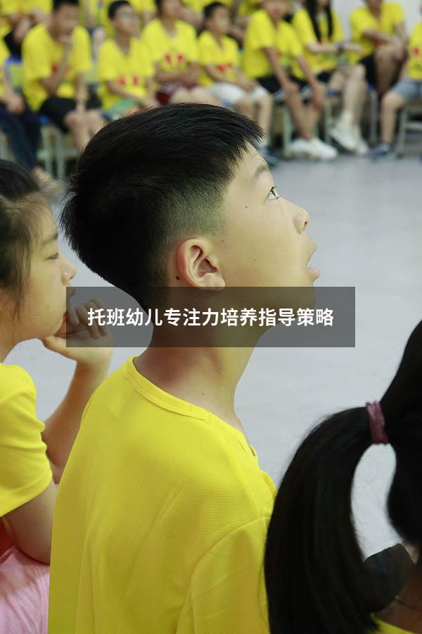 托班幼儿专注力培养指导策略