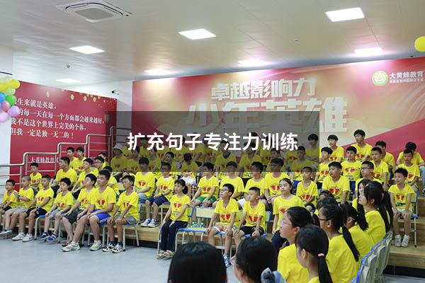 扩充句子专注力训练