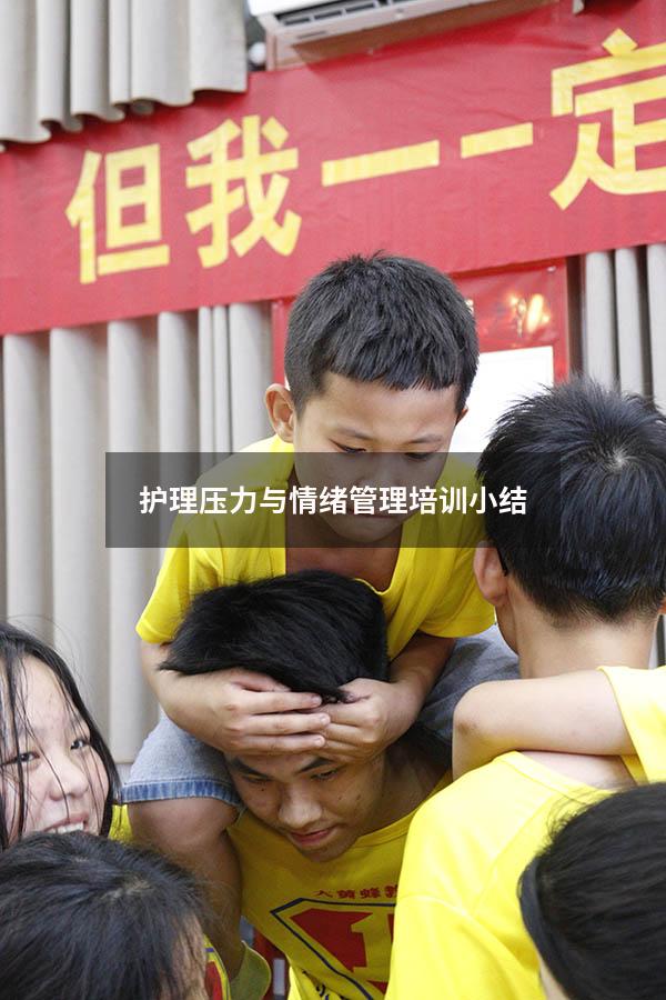 护理压力与情绪管理培训小结