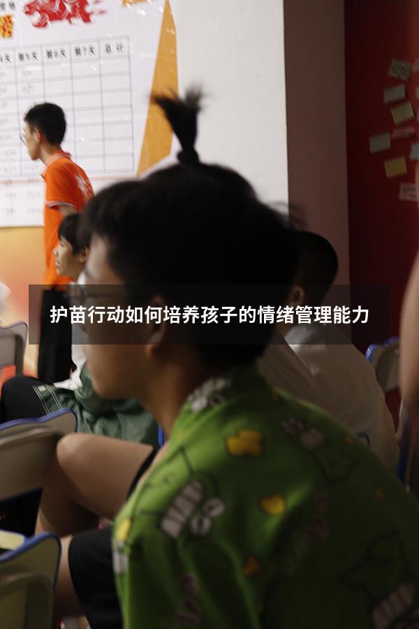 护苗行动如何培养孩子的情绪管理能力