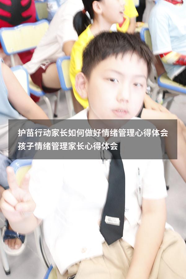 护苗行动家长如何做好情绪管理心得体会（孩子情绪管理家长心得体会）