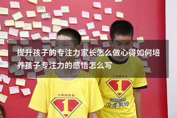 提升孩子的专注力家长怎么做心得（如何培养孩子专注力的感悟怎么写）