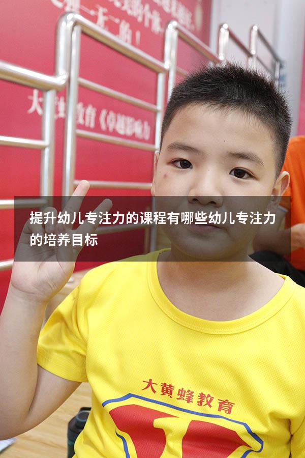 提升幼儿专注力的课程有哪些（幼儿专注力的培养目标）