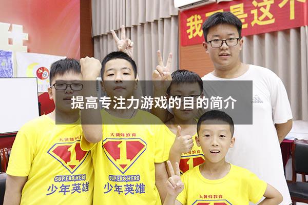 提高专注力游戏的目的简介