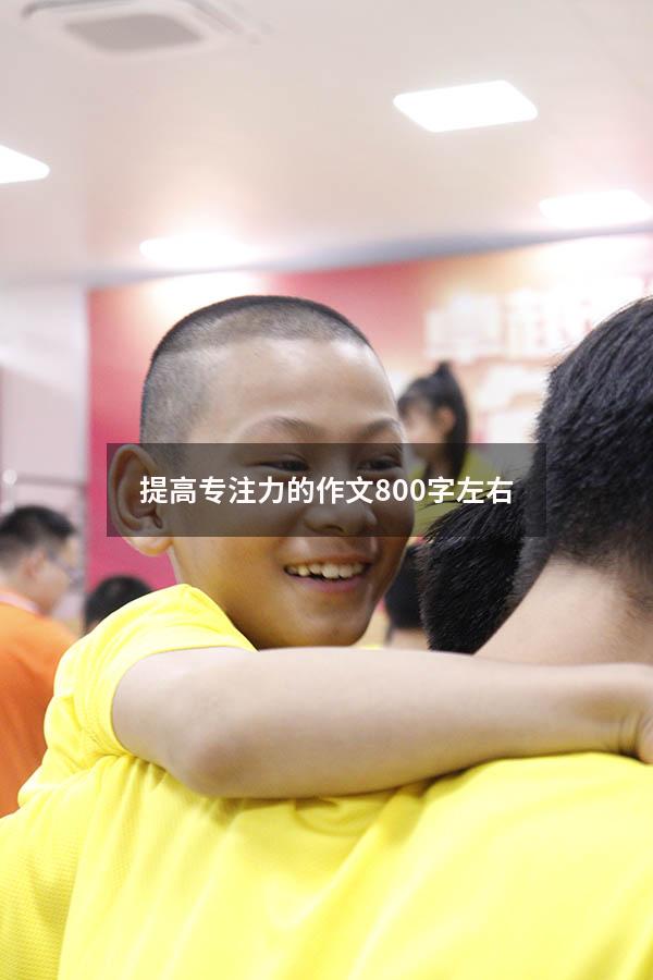 提高专注力的作文800字左右