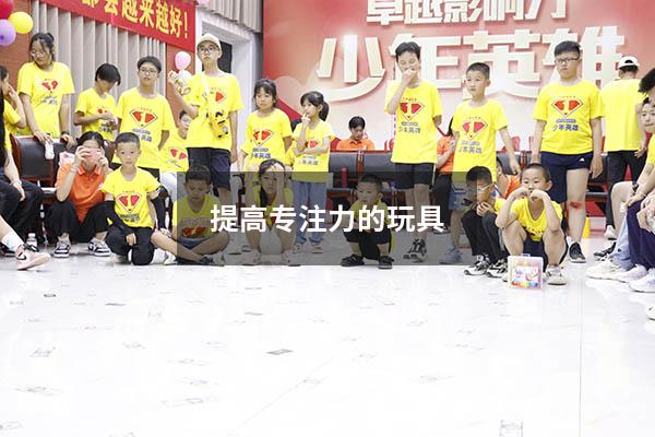 提高专注力的玩具