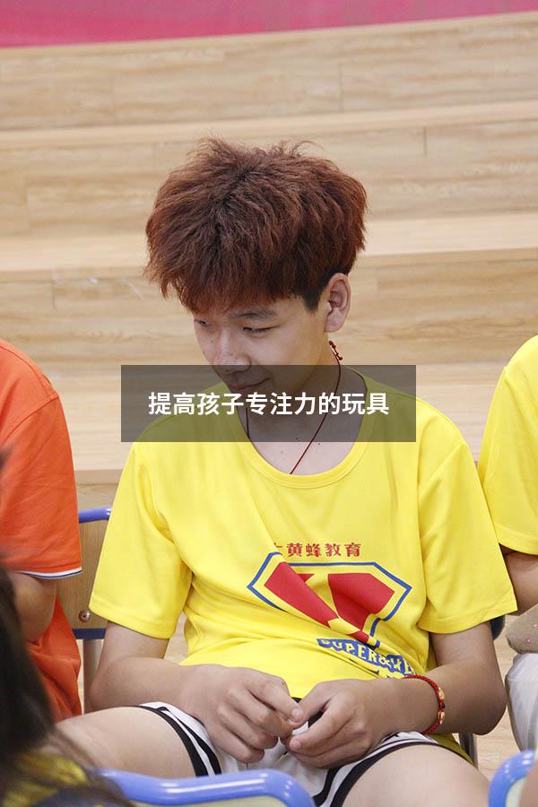 提高孩子专注力的玩具