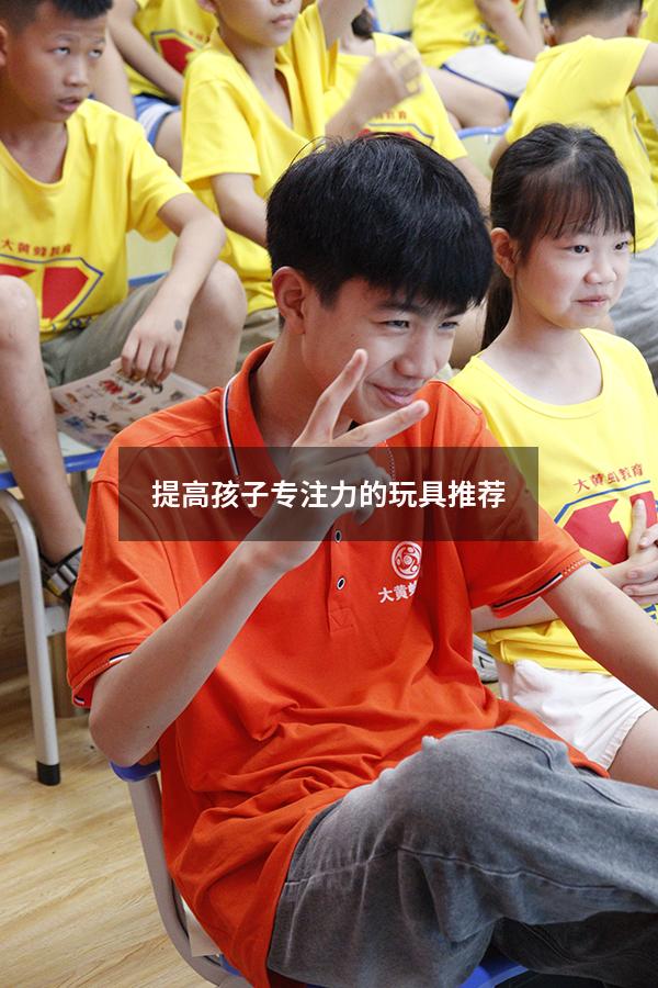 提高孩子专注力的玩具推荐