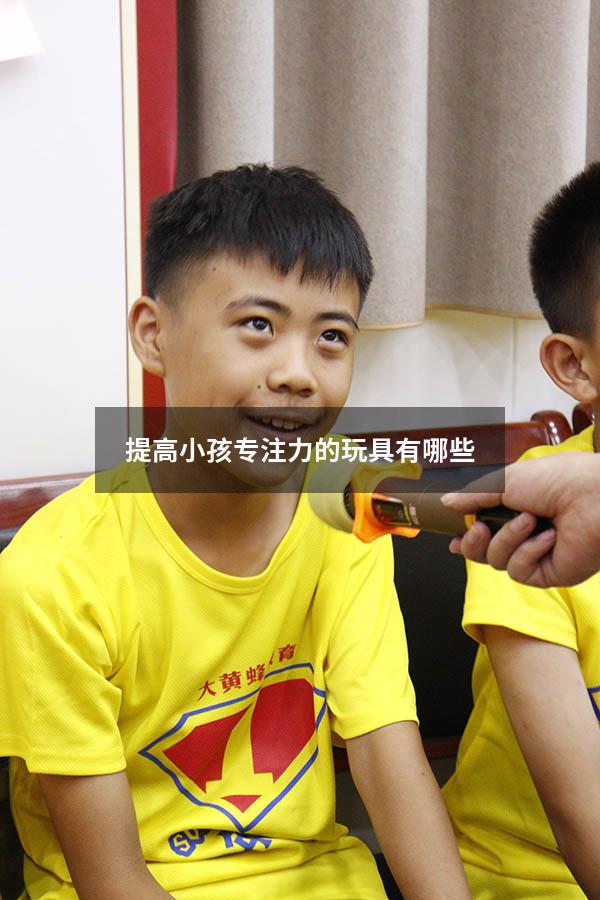 提高小孩专注力的玩具有哪些