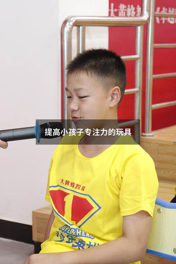 提高小孩子专注力的玩具